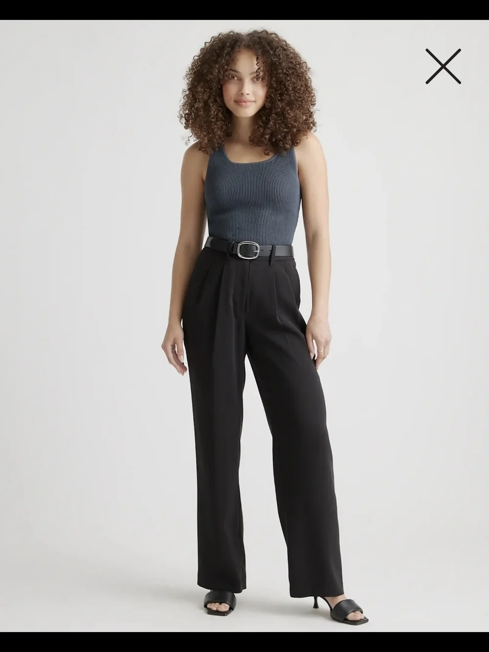 Quince Black Wide-Leg Pleated Trousers Size 4 In Excellent Condition - Picture 1 of 4